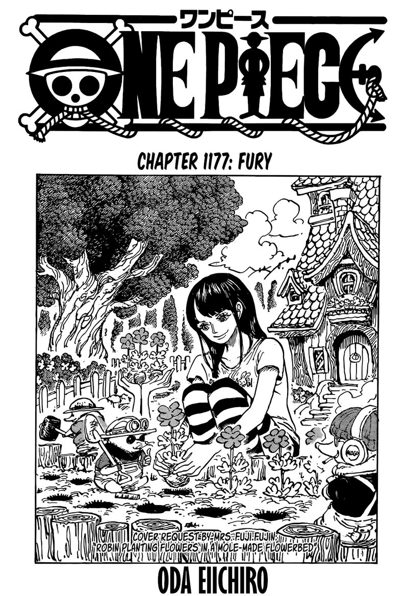 One Piece, Chapter 1177 image 01